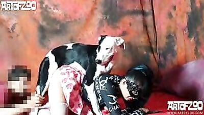 Hard dog life clip