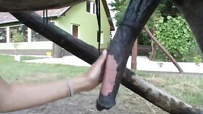 hot scandinavian brunette Ida playing with big horsecock