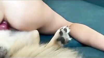 girl doing anal with dog