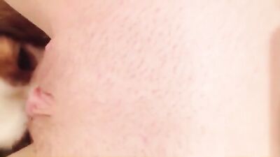 Cumming on the Dogs Tongue 5