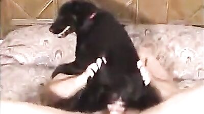 Fucking the bitchs pussy