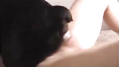 Fucking the bitchs pussy
