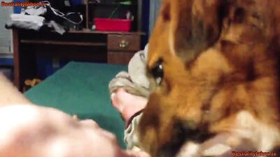 Girl Lick vid