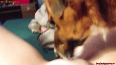 Girl Lick vid