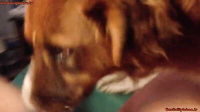 Girl Lick vid