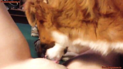 Girl Lick vid