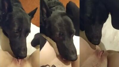Girl getting licked by dog