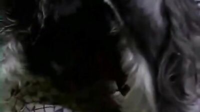 Girl suck dog