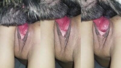 DOG KNOT
