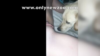 dog licks cute teens pussy