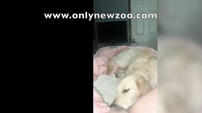 dog licks cute teens pussy