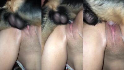 dog fill good