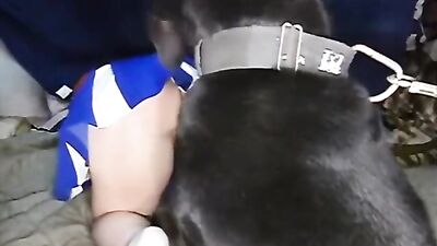 dog fucks cheerleader