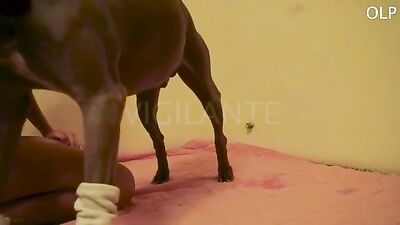 Doggy rot
