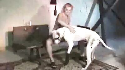 dog sex