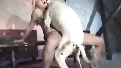 dog sex