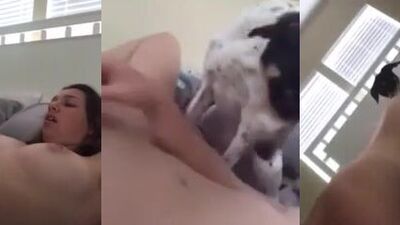 Dog licks pussy mommys