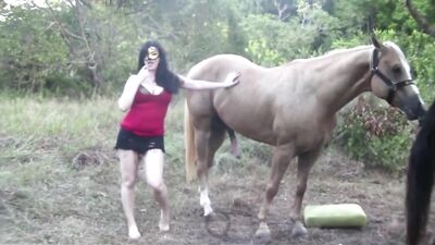 Dark Horse