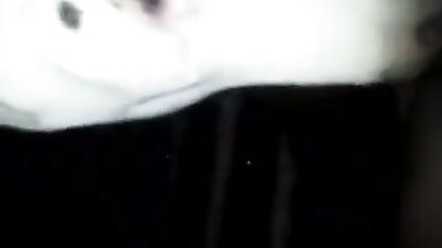 cow licking dick