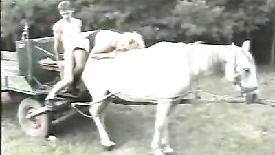 Couple and horse