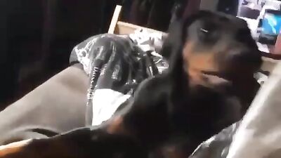 Deep lick 1