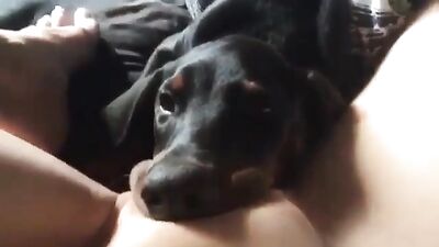 Deep lick 1