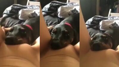 Deep lick 2