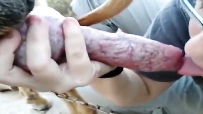 Sensual Sucking By Girlfriend