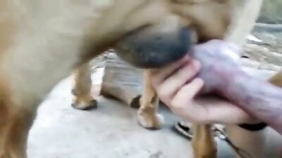Sensual Sucking By Girlfriend