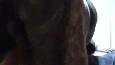 Chubby Chinese Wife Fucks Her Dog Raw