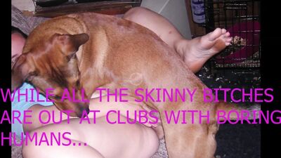 Bestiality BBWs