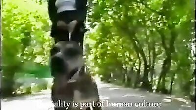 Bestiality Culture