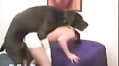 Playing with the Big Dog