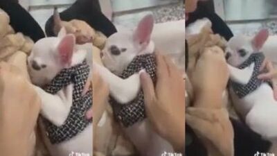 ASIA BREAST FEEDING