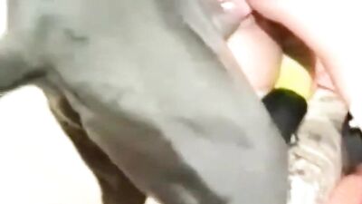 Anal with Dobermam