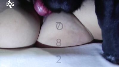 AMATEUR DOG PORN GOODNESS