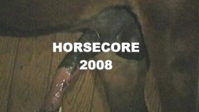 THE perfect bestiality video with horse!