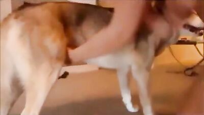 The girl is training her dog