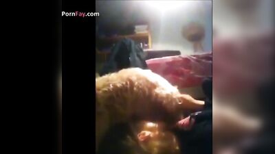 teen sucking her dog on cam