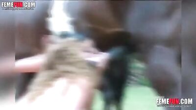 Two Women Sucking Off A Horse