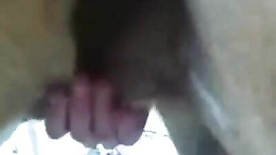 Teen bj in dog