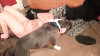 Savoring the Animals Cum