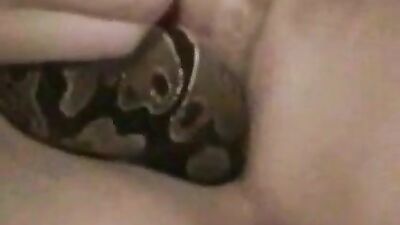 snake head first
