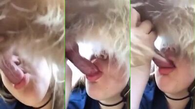 suck dog