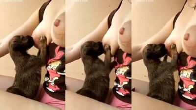 Puppy drinking mummys Milk