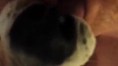 Squirting orgasm with my dog. Loud moaning.
