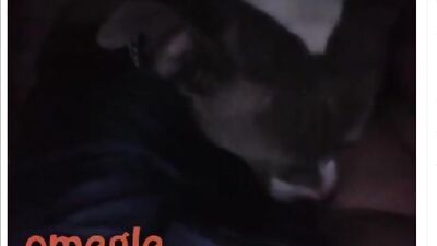 Original Cap - 19yo girl with dog