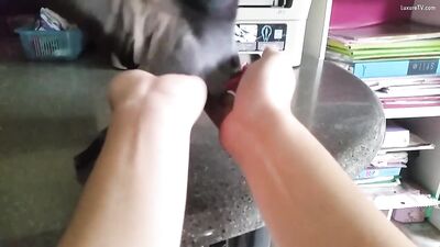 Pidgeon 1