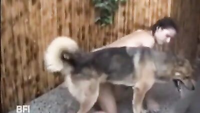 Nympho in Dog Training 5