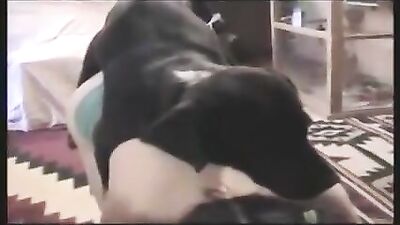 In the Ass She Likes